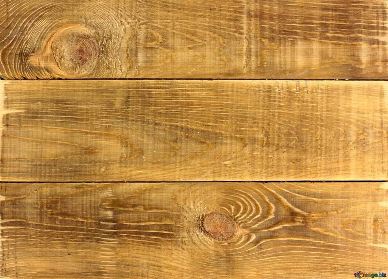 wood ecology textures texture 37899